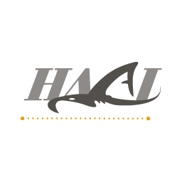 kunde-haai.png